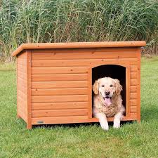 Wooden Dog House